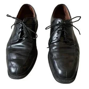 FootJoy | Shoes | Footjoy Professional Mens Lace Up  display picture 1